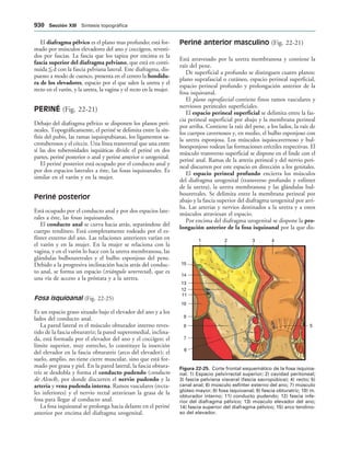 154017468-Anatomia-Humana-Garcia-Porrero-pdf.pdf