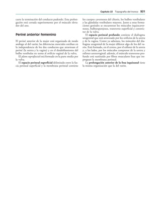 154017468-Anatomia-Humana-Garcia-Porrero-pdf.pdf