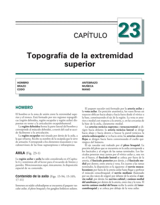 154017468-Anatomia-Humana-Garcia-Porrero-pdf.pdf