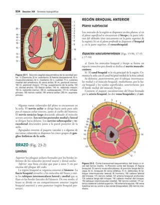 154017468-Anatomia-Humana-Garcia-Porrero-pdf.pdf