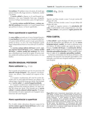 154017468-Anatomia-Humana-Garcia-Porrero-pdf.pdf