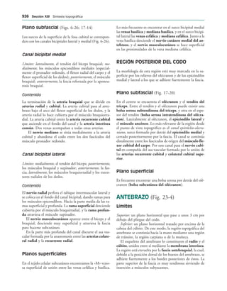 154017468-Anatomia-Humana-Garcia-Porrero-pdf.pdf