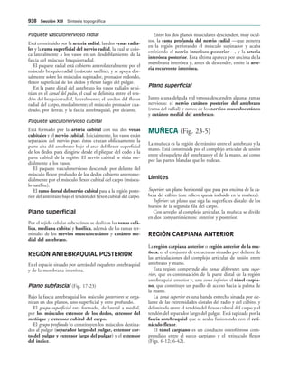 154017468-Anatomia-Humana-Garcia-Porrero-pdf.pdf