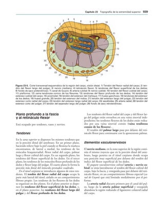 154017468-Anatomia-Humana-Garcia-Porrero-pdf.pdf