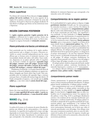 154017468-Anatomia-Humana-Garcia-Porrero-pdf.pdf