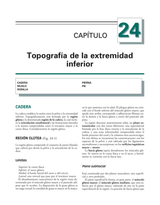 154017468-Anatomia-Humana-Garcia-Porrero-pdf.pdf