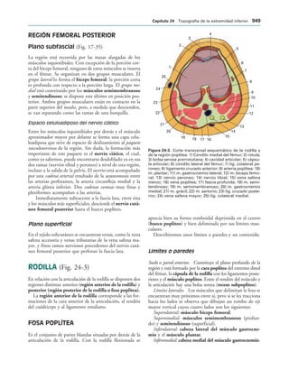 154017468-Anatomia-Humana-Garcia-Porrero-pdf.pdf