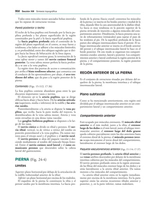154017468-Anatomia-Humana-Garcia-Porrero-pdf.pdf