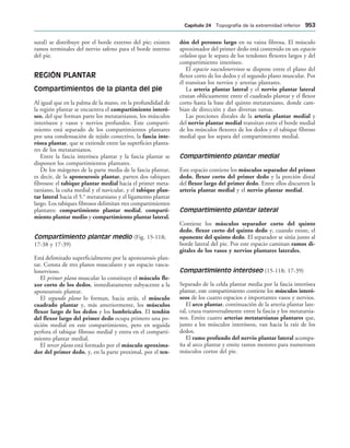154017468-Anatomia-Humana-Garcia-Porrero-pdf.pdf