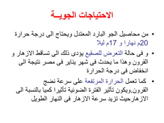 ‫الجويــة‬ ‫االحتياجات‬
•
‫حرار‬ ‫درجة‬ ‫الى‬ ‫ويحتاج‬ ‫المعتدل‬ ‫البارد‬ ‫الجو‬ ‫محاصيل‬ ‫من‬
‫ة‬
20
‫و‬ ‫نهارا‬ ‫م‬
17
‫ليال‬ ‫م‬
•
‫حالة‬ ‫فى‬ ‫و‬
‫للصقيع‬ ‫التعرض‬
‫اال‬ ‫تساقط‬ ‫الى‬ ‫ذلك‬ ‫يؤدى‬
‫و‬ ‫زهار‬
‫ال‬ ‫نتيجة‬ ‫مصر‬ ‫فى‬ ‫يناير‬ ‫شهر‬ ‫فى‬ ‫يحدث‬ ‫ما‬ ‫وهذا‬ ‫القرون‬
‫ى‬
‫الحرارة‬ ‫درجة‬ ‫فى‬ ‫انخفاض‬
•
‫تعمل‬ ‫كما‬
‫المرتفعة‬ ‫الحرارة‬
‫نضج‬ ‫سرعة‬ ‫على‬
‫القرون‬
.
‫ب‬ ‫كميا‬ ‫تأثيرا‬ ‫الضوئية‬ ‫الفترة‬ ‫تأثير‬ ‫ويكون‬
‫الى‬ ‫النسبة‬
‫الطويل‬ ‫النهار‬ ‫فى‬ ‫االزهار‬ ‫سرعة‬ ‫تزيد‬ ‫االزهارحيث‬
 