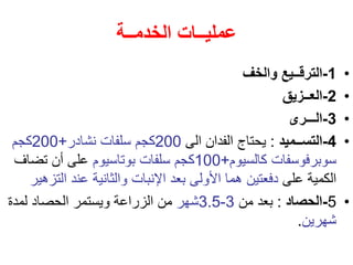 ‫الخدمــة‬ ‫عمليــات‬
•
1
-
‫والخف‬ ‫الترقــيع‬
•
2
-
‫العــزيق‬
•
3
-
‫الـــرى‬
•
4
-
‫التســميد‬
:
‫الى‬ ‫الفدان‬ ‫يحتاج‬
200
‫نشادر‬ ‫سلفات‬ ‫كجم‬
+
200
‫كجم‬
‫كالسيوم‬ ‫سوبرفوسفات‬
+
100
‫بوتاسيوم‬ ‫سلفات‬ ‫كجم‬
‫تضاف‬ ‫أن‬ ‫على‬
‫على‬ ‫الكمية‬
‫الت‬ ‫عند‬ ‫والثانية‬ ‫اإلنبات‬ ‫بعد‬ ‫األولى‬ ‫هما‬ ‫دفعتين‬
‫زهير‬
•
5
-
‫الحصاد‬
:
‫من‬ ‫بعد‬
3
-
3.5
‫شهر‬
‫لمدة‬ ‫الحصاد‬ ‫ويستمر‬ ‫الزراعة‬ ‫من‬
‫شهرين‬
.
 