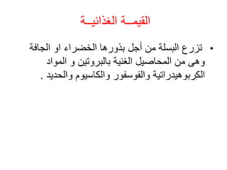 ‫الغذائيــة‬ ‫القيمــة‬
•
‫الجافة‬ ‫او‬ ‫الخضراء‬ ‫بذورها‬ ‫أجل‬ ‫من‬ ‫البسلة‬ ‫تزرع‬
‫المواد‬ ‫و‬ ‫بالبروتين‬ ‫الغنية‬ ‫المحاصيل‬ ‫من‬ ‫وهى‬
‫والحدي‬ ‫والكاسيوم‬ ‫والفوسفور‬ ‫الكربوهيدراتية‬
‫د‬
.
 