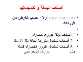 ‫البسلة‬ ‫أصناف‬
‫و‬
‫تقسيم‬
‫ات‬
‫ها‬
•
‫أوال‬ِِِِِِِِِِ
:
‫من‬ ‫الغرض‬ ‫حسب‬
‫الزراعة‬
•
•
1
-
‫خضراء‬ ‫بذورها‬ ‫تؤكل‬ ‫أصناف‬
•
2
-
‫مثل‬ ‫الجافة‬ ‫بذورها‬ ‫نستعمل‬ ‫أصناف‬
‫ا‬
‫سكا‬ ‫ال‬
•
3
-
‫كاملة‬ ‫الخضراء‬ ‫القرون‬ ‫تستعمل‬ ‫أصناف‬
‫مثل‬
‫بيبى‬ ‫شوجر‬ ‫دوارف‬
 