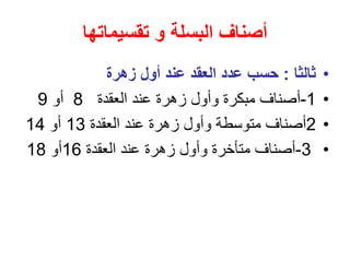 ‫البسلة‬ ‫أصناف‬
‫و‬
‫تقسيم‬
‫ات‬
‫ها‬
•
‫ثالثا‬
:
‫زهرة‬ ‫أول‬ ‫عند‬ ‫العقد‬ ‫عدد‬ ‫حسب‬
•
1
-
‫العقدة‬ ‫عند‬ ‫زهرة‬ ‫وأول‬ ‫مبكرة‬ ‫أصناف‬
8
‫أو‬
9
•
2
‫العقدة‬ ‫عند‬ ‫زهرة‬ ‫وأول‬ ‫متوسطة‬ ‫أصناف‬
13
‫أو‬
14
•
3
-
‫العقدة‬ ‫عند‬ ‫زهرة‬ ‫وأول‬ ‫متأخرة‬ ‫أصناف‬
16
‫أو‬
18
 