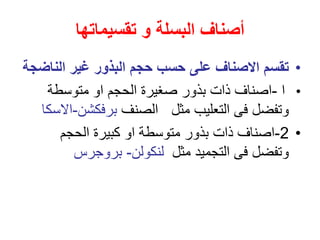 ‫البسلة‬ ‫أصناف‬
‫و‬
‫تقسيم‬
‫ات‬
‫ها‬
•
‫الناض‬ ‫غير‬ ‫البذور‬ ‫حجم‬ ‫حسب‬ ‫على‬ ‫االصناف‬ ‫تقسم‬
‫جة‬
•
‫ا‬
-
‫متوسطة‬ ‫او‬ ‫الحجم‬ ‫صغيرة‬ ‫بذور‬ ‫ذات‬ ‫اصناف‬
‫الصنف‬ ‫مثل‬ ‫التعليب‬ ‫فى‬ ‫وتفضل‬
‫برفكشن‬
-
‫االسكا‬
•
2
-
‫الحجم‬ ‫كبيرة‬ ‫او‬ ‫متوسطة‬ ‫بذور‬ ‫ذات‬ ‫اصناف‬
‫مثل‬ ‫التجميد‬ ‫فى‬ ‫وتفضل‬
‫لنكولن‬
-
‫بروجرس‬
 