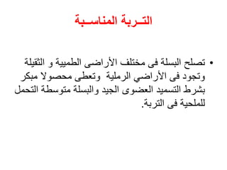 ‫المناســبة‬ ‫التــربة‬
•
‫ا‬ ‫و‬ ‫الطميية‬ ‫األراضى‬ ‫مختلف‬ ‫فى‬ ‫البسلة‬ ‫تصلح‬
‫لثقيلة‬
‫مب‬ ‫محصوال‬ ‫وتعطى‬ ‫الرملية‬ ‫األراضي‬ ‫فى‬ ‫وتجود‬
‫كر‬
‫متوسط‬ ‫والبسلة‬ ‫الجيد‬ ‫العضوى‬ ‫التسميد‬ ‫بشرط‬
‫التحمل‬ ‫ة‬
‫التربة‬ ‫فى‬ ‫للملحية‬
.
 