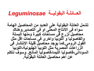 ‫البقوليــة‬ ‫العــائلـة‬
Leguminosae
‫ا‬ ‫المحاصيل‬ ‫من‬ ‫العديد‬ ‫على‬ ‫البقولية‬ ‫العائلة‬ ‫تشمل‬
‫لهامة‬
‫التصدير‬ ‫فى‬ ‫او‬ ‫المحلى‬ ‫االنتاج‬ ‫فى‬ ‫سواء‬
.
‫وهناك‬
‫البسلة‬ ‫ومنها‬ ‫كبيرة‬ ‫مساحات‬ ‫فى‬ ‫تزرع‬ ‫محاصيل‬
‫مثل‬ ‫اقل‬ ‫مساحات‬ ‫فى‬ ‫واخرى‬ ‫اللوبيا‬ ‫و‬ ‫والفاصوليا‬
‫الرومى‬ ‫الفول‬
.
‫ف‬ ‫االنتشار‬ ‫قليلة‬ ‫محاصيل‬ ‫يوجد‬ ‫كما‬
‫ى‬
‫الهليونية‬ ‫اللوبيا‬ ‫مثل‬ ‫المصرية‬ ‫الزراعات‬
-
‫اللوبيا‬
‫السودانى‬
-
‫الليما‬ ‫فاصوليا‬
-
‫المانج‬ ‫فاصوليا‬
.
‫وسوف‬
‫نتكلم‬
‫البقولية‬ ‫العائلة‬ ‫محاصيل‬ ‫اهم‬ ‫عن‬
.
 
