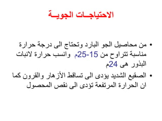 ‫الجويــة‬ ‫االحتياجــات‬
•
‫حرارة‬ ‫درجة‬ ‫الى‬ ‫وتحتاج‬ ‫البارد‬ ‫الجو‬ ‫محاصيل‬ ‫من‬
‫من‬ ‫تتراوح‬ ‫مناسبة‬
15
-
25
‫م‬
‫النبات‬ ‫حرارة‬ ‫وانسب‬
‫هى‬ ‫البذور‬
24
‫م‬
•
‫والقرو‬ ‫األزهار‬ ‫تساقط‬ ‫الى‬ ‫يؤدى‬ ‫الشديد‬ ‫الصقيع‬
‫كما‬ ‫ن‬
‫المحصول‬ ‫نقص‬ ‫الى‬ ‫تؤدى‬ ‫المرتفعة‬ ‫الحرارة‬ ‫ان‬
 
