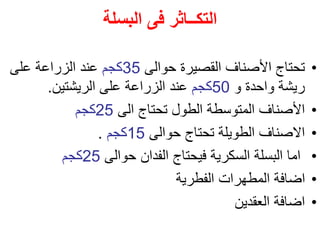 ‫البسلة‬ ‫فى‬ ‫التكــاثر‬
•
‫حوالى‬ ‫القصيرة‬ ‫األصناف‬ ‫تحتاج‬
35
‫كجم‬
‫على‬ ‫الزراعة‬ ‫عند‬
‫و‬ ‫واحدة‬ ‫ريشة‬
50
‫كجم‬
‫الريشتين‬ ‫على‬ ‫الزراعة‬ ‫عند‬
.
•
‫الى‬ ‫تحتاج‬ ‫الطول‬ ‫المتوسطة‬ ‫األصناف‬
25
‫كجم‬
•
‫حوالى‬ ‫تحتاج‬ ‫الطويلة‬ ‫االصناف‬
15
‫كجم‬
.
•
‫حوالى‬ ‫الفدان‬ ‫فيحتاج‬ ‫السكرية‬ ‫البسلة‬ ‫اما‬
25
‫كجم‬
•
‫الفطرية‬ ‫المطهرات‬ ‫اضافة‬
•
‫العقدين‬ ‫اضافة‬
 