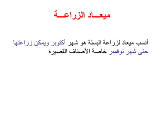 ‫الزراعـــة‬ ‫ميعـــاد‬
‫شهر‬ ‫هو‬ ‫البسلة‬ ‫لزراعة‬ ‫ميعاد‬ ‫أنسب‬
‫زراع‬ ‫ويمكن‬ ‫أكتوبر‬
‫تها‬
‫نوفمبر‬ ‫شهر‬ ‫حتى‬
‫القصيرة‬ ‫األصناف‬ ‫خاصة‬
 