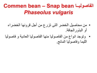 ‫الفاصوليــا‬
Commen bean – Snap bean
Phaseolus vulgaris
•
‫الخضراء‬ ‫قرونها‬ ‫أجل‬ ‫من‬ ‫تزرع‬ ‫التى‬ ‫الخضر‬ ‫محاصيل‬ ‫من‬
‫البذور‬ ‫أو‬
‫الجافة‬
.
•
‫ف‬ ‫و‬ ‫العادية‬ ‫الفاصوليا‬ ‫منها‬ ‫الفاصوليا‬ ‫من‬ ‫انواع‬ ‫وتوجد‬
‫اصوليا‬
‫المانج‬ ‫وفاصوليا‬ ‫الليما‬
.
 
