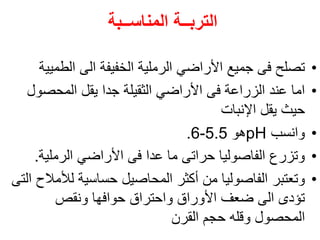 ‫المناســبة‬ ‫التربــة‬
•
‫الطم‬ ‫الى‬ ‫الخفيفة‬ ‫الرملية‬ ‫األراضي‬ ‫جميع‬ ‫فى‬ ‫تصلح‬
‫يية‬
•
‫المحصو‬ ‫يقل‬ ‫جدا‬ ‫الثقيلة‬ ‫األراضي‬ ‫فى‬ ‫الزراعة‬ ‫عند‬ ‫اما‬
‫ل‬
‫اإلنبات‬ ‫يقل‬ ‫حيث‬
•
‫وانسب‬
pH
‫هو‬
5.5
-
6
.
•
‫الرملية‬ ‫األراضي‬ ‫فى‬ ‫عدا‬ ‫ما‬ ‫حراتى‬ ‫الفاصوليا‬ ‫وتزرع‬
.
•
‫لأل‬ ‫حساسية‬ ‫المحاصيل‬ ‫أكثر‬ ‫من‬ ‫الفاصوليا‬ ‫وتعتبر‬
‫التى‬ ‫مالح‬
‫ونقص‬ ‫حوافها‬ ‫واحتراق‬ ‫األوراق‬ ‫ضعف‬ ‫الى‬ ‫تؤدى‬
‫القرن‬ ‫حجم‬ ‫وقله‬ ‫المحصول‬
 