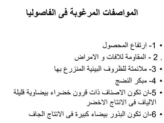 ‫الفاصوليا‬ ‫فى‬ ‫المرغوبة‬ ‫المواصفات‬
•
1
-
‫المحصول‬ ‫ارتفاع‬
.
2
-
‫االمراض‬ ‫و‬ ‫لالفات‬ ‫المقاومة‬
•
3
-
‫بها‬ ‫المنزرع‬ ‫البيئية‬ ‫للظروف‬ ‫مالئمتة‬
•
4
-
‫النضج‬ ‫مبكر‬
•
5
-
‫قليل‬ ‫بيضاوية‬ ‫خضراء‬ ‫قرون‬ ‫ذات‬ ‫االصناف‬ ‫تكون‬ ‫ان‬
‫ة‬
‫االخضر‬ ‫االنتاج‬ ‫فى‬ ‫االلياف‬
•
6
-
‫ان‬
‫الجاف‬ ‫االنتاج‬ ‫فى‬ ‫كبيرة‬ ‫بيضاء‬ ‫البذور‬ ‫تكون‬
 