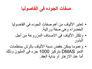 ‫الفاصوليا‬ ‫فى‬ ‫الجوده‬ ‫صفات‬
•
‫الفاص‬ ‫فى‬ ‫الجوده‬ ‫صفات‬ ‫أهم‬ ‫من‬ ‫األلياف‬ ‫تعتبر‬
‫وليا‬
‫وراثية‬ ‫صفة‬ ‫وهى‬ ‫الخضراء‬
.
•
‫أجل‬ ‫من‬ ‫المزروعة‬ ‫االصناف‬ ‫فى‬ ‫األلياف‬ ‫وتكثر‬
‫البذور‬
•
‫بمنظم‬ ‫بالرش‬ ‫األلياف‬ ‫نسبة‬ ‫خفض‬ ‫يمكن‬ ‫وعموما‬
‫ات‬
‫النمو‬
DMAS
‫بتركيز‬
1000
‫وذلك‬ ‫المليون‬ ‫فى‬ ‫جزء‬
‫العقد‬ ‫بداية‬ ‫أو‬ ‫االزهار‬ ‫عند‬ ‫أما‬
.
 