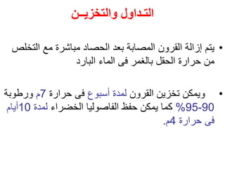 ‫والتخزيــن‬ ‫التـداول‬
•
‫الت‬ ‫مع‬ ‫مباشرة‬ ‫الحصاد‬ ‫بعد‬ ‫المصابة‬ ‫القرون‬ ‫إزالة‬ ‫يتم‬
‫خلص‬
‫البارد‬ ‫الماء‬ ‫فى‬ ‫بالغمر‬ ‫الحقل‬ ‫حرارة‬ ‫من‬
•
‫القرون‬ ‫تخزين‬ ‫ويمكن‬
‫أسبوع‬ ‫لمدة‬
‫حرارة‬ ‫فى‬
7
‫م‬
‫ورطوبة‬
90
-
95
%
‫الخضراء‬ ‫الفاصوليا‬ ‫حفظ‬ ‫يمكن‬ ‫كما‬
‫لمدة‬
10
‫أيام‬
‫حرارة‬ ‫فى‬
4
‫م‬
.
 