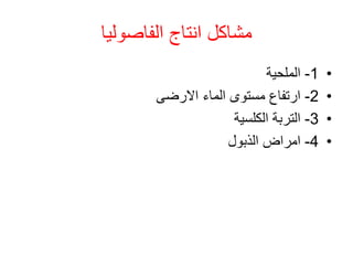 ‫الفاصوليا‬ ‫انتاج‬ ‫مشاكل‬
•
1
-
‫الملحية‬
•
2
-
‫االرضى‬ ‫الماء‬ ‫مستوى‬ ‫ارتفاع‬
•
3
-
‫الكلسية‬ ‫التربة‬
•
4
-
‫الذبول‬ ‫امراض‬
 