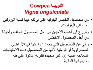 ‫اللوبيــا‬
Cowpea
Vigna unguiculata
•
‫نس‬ ‫فيها‬ ‫يرتفع‬ ‫التى‬ ‫البقولية‬ ‫الخضر‬ ‫محاصيل‬ ‫من‬
‫البروتين‬ ‫بة‬
‫البقوليات‬ ‫باقى‬ ‫عن‬
.
•
‫وأحيان‬ ‫الجاف‬ ‫المحصول‬ ‫أجل‬ ‫من‬ ‫االحيان‬ ‫أغلب‬ ‫فى‬ ‫وتزرع‬
‫ا‬
‫األخضر‬ ‫المحصول‬ ‫أجل‬ ‫من‬
.
•
‫األراضي‬ ‫فى‬ ‫زراعتها‬ ‫يجود‬ ‫التى‬ ‫المحاصيل‬ ‫من‬ ‫وهى‬
‫االحتياج‬ ‫ذات‬ ‫المحاصيل‬ ‫من‬ ‫ألنها‬ ‫الرملية‬ ‫أو‬ ‫الصحراوية‬
‫ات‬
‫قلة‬ ‫على‬ ‫عالوة‬ ‫للتربة‬ ‫مجهده‬ ‫غير‬ ‫إي‬ ‫القليلة‬ ‫السمادية‬
‫المائية‬ ‫احتياجاتها‬
 