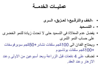 ‫الخدمــة‬ ‫عمليــات‬
•
-
‫والترقــيع‬ ‫الخف‬
-
‫ا‬
‫لعــزيق‬
-
‫الـــرى‬
•
-
‫التســميد‬
•
‫ا‬ ‫للنمو‬ ‫زيادة‬ ‫تحدث‬ ‫ال‬ ‫حتى‬ ‫التسميد‬ ‫فى‬ ‫المغاالة‬ ‫عدم‬ ‫يفضل‬
‫لخضرى‬
‫الثمرى‬ ‫النمو‬ ‫حساب‬ ‫على‬
•
‫الى‬ ‫الفدان‬ ‫ويحتاج‬
100
‫نشادر‬ ‫سلفات‬ ‫كجم‬
+
50
‫سوبرفوسفات‬ ‫كجم‬
+
100
‫بوتاسيوم‬ ‫سلفات‬ ‫كجم‬
•
‫تضاف‬
‫على‬
4
‫وع‬ ‫االولى‬ ‫من‬ ‫أسبوعين‬ ‫وبعد‬ ‫الزراعة‬ ‫قبل‬ ‫دفعات‬
‫ند‬
‫العقد‬ ‫وعند‬ ‫االزهار‬
.
 