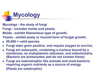 Mycology
Mycology - the study of fungi
Fungi - includes molds and yeasts.
Molds - exhibit filamentous type of growth.
Yeasts - exhibit pasty or mucoid form of fungal growth.
 50,000 + valid species
 Fungi stain gram positive, and require oxygen to survive.
 Fungi are eukaryotic, containing a nucleus bound by a
membrane, an endoplasmic reticulum, and mitochondria.
(Bacteria are prokaryotes and do not contain these)
 Fungi are heterotrophic like animals and most bacteria;
requiring organic nutrients as a source of energy.
(Plants are autotrophic)
 