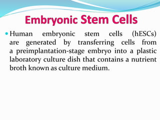 Human embryonic stem cells (hESCs)
are generated by transferring cells from
a preimplantation-stage embryo into a plastic
laboratory culture dish that contains a nutrient
broth known as culture medium.
 