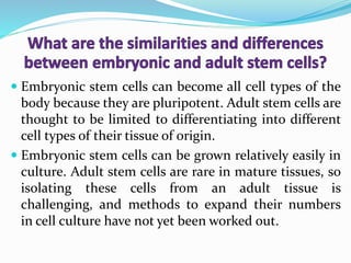  Embryonic stem cells can become all cell types of the
body because they are pluripotent. Adult stem cells are
thought to be limited to differentiating into different
cell types of their tissue of origin.
 Embryonic stem cells can be grown relatively easily in
culture. Adult stem cells are rare in mature tissues, so
isolating these cells from an adult tissue is
challenging, and methods to expand their numbers
in cell culture have not yet been worked out.
 