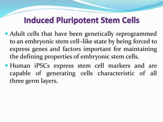 Adult cells that have been genetically reprogrammed
to an embryonic stem cell–like state by being forced to
express genes and factors important for maintaining
the defining properties of embryonic stem cells.
 Human iPSCs express stem cell markers and are
capable of generating cells characteristic of all
three germ layers.
 