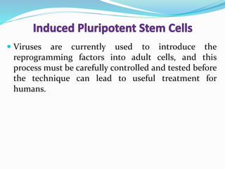  Viruses are currently used to introduce the
reprogramming factors into adult cells, and this
process must be carefully controlled and tested before
the technique can lead to useful treatment for
humans.
 