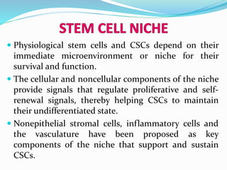  Physiological stem cells and CSCs depend on their
immediate microenvironment or niche for their
survival and function.
 The cellular and noncellular components of the niche
provide signals that regulate proliferative and self-
renewal signals, thereby helping CSCs to maintain
their undifferentiated state.
 Nonepithelial stromal cells, inflammatory cells and
the vasculature have been proposed as key
components of the niche that support and sustain
CSCs.
 