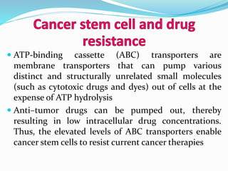  ATP-binding cassette (ABC) transporters are
membrane transporters that can pump various
distinct and structurally unrelated small molecules
(such as cytotoxic drugs and dyes) out of cells at the
expense of ATP hydrolysis
 Anti–tumor drugs can be pumped out, thereby
resulting in low intracellular drug concentrations.
Thus, the elevated levels of ABC transporters enable
cancer stem cells to resist current cancer therapies
 