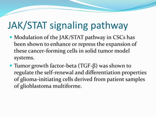 JAK/STAT signaling pathway
 Modulation of the JAK/STAT pathway in CSCs has
been shown to enhance or repress the expansion of
these cancer-forming cells in solid tumor model
systems.
 Tumor growth factor-beta (TGF-β) was shown to
regulate the self-renewal and differentiation properties
of glioma-initiating cells derived from patient samples
of glioblastoma multiforme.
 