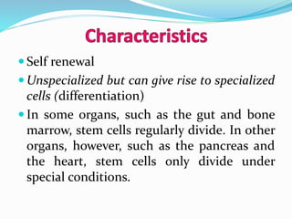  Self renewal
 Unspecialized but can give rise to specialized
cells (differentiation)
 In some organs, such as the gut and bone
marrow, stem cells regularly divide. In other
organs, however, such as the pancreas and
the heart, stem cells only divide under
special conditions.
 