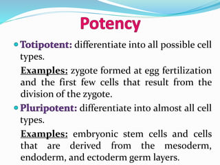 differentiate into all possible cell
types.
Examples: zygote formed at egg fertilization
and the first few cells that result from the
division of the zygote.
differentiate into almost all cell
types.
Examples: embryonic stem cells and cells
that are derived from the mesoderm,
endoderm, and ectoderm germ layers.
 