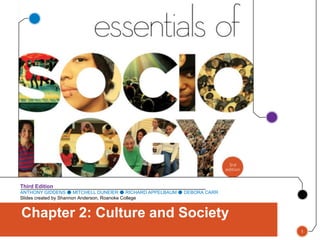 ANTHONY GIDDENS ● MITCHELL DUNEIER ● RICHARD APPELBAUM ● DEBORA CARR
Slides created by Shannon Anderson, Roanoke College
Third Edition
Chapter 2: Culture and Society
1
 