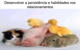Desenvolver a persistência e habilidades nos 
relacionamentos 
 