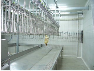 poultry meat for human consumption and slaughter house | PPTX