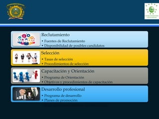 Reclutamiento
• Fuentes de Reclutamiento
• Disponibilidad de posibles candidatos
• Solicitudes y bancos de solicitudes
Selección
• Tasas de selección
• Procedimientos de selección
• seguimiento
Capacitación y Orientación
• Programa de Orientación
• Objetivos y procedimientos de capacitación
• Tasas de efectividad de la capacitación
Desarrollo profesional
• Programa de desarrollo
• Planes de promoción
• Éxito de los movimientos de reubicación
 