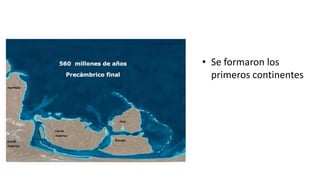 • Se formaron los
primeros continentes
 