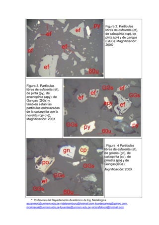 * Profesores del Departamento Académico de Ing. Metalúrgica
aazaneroo@unmsm.edu.pe,vidalaramburu@hotmail.com,lourdesjanetq@yahoo.com,
mcabreras@unmsm.edu.pe,lpuentes@unmsm.edu.pe,victorafalconi@hotmail.com
Figura 2. Partículas
libres de esfalerita (ef),
de calcopirita (cp), de
pirita (py) y de gangas
(GGS). Magnificación:
200X
Figura 3. Partículas
libres de esfalerita (ef),
de pirita (py), de
arsenopirita (apy), de
Gangas (GGs) y
también están las
partículas entrelazadas
de la calcopirita con la
novelita (cp+cv)),
Magnificación: 200X
. Figura 4 Partículas
libres de esfalerita (ef),
de galena (gn), de
calcopirita (cp), de
pirrotita (po) y de
Gangas(GGs)
Magnificación: 200X
 