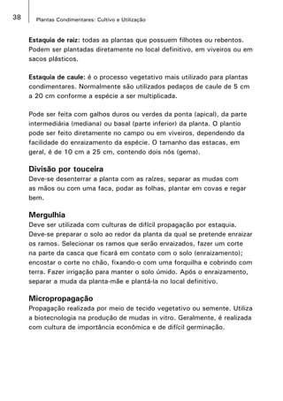 38 Plantas Condimentares: Cultivo e Utilização
Estaquia de raiz: todas as plantas que possuem filhotes ou rebentos.
Podem ser plantadas diretamente no local definitivo, em viveiros ou em
sacos plásticos.
Estaquia de caule: é o processo vegetativo mais utilizado para plantas
condimentares. Normalmente são utilizados pedaços de caule de 5 cm
a 20 cm conforme a espécie a ser multiplicada.
Pode ser feita com galhos duros ou verdes da ponta (apical), da parte
intermediária (mediana) ou basal (parte inferior) da planta. O plantio
pode ser feito diretamente no campo ou em viveiros, dependendo da
facilidade do enraizamento da espécie. O tamanho das estacas, em
geral, é de 10 cm a 25 cm, contendo dois nós (gema).
Divisão por touceira
Deve-se desenterrar a planta com as raízes, separar as mudas com
as mãos ou com uma faca, podar as folhas, plantar em covas e regar
bem.
Mergulhia
Deve ser utilizada com culturas de difícil propagação por estaquia.
Deve-se preparar o solo ao redor da planta da qual se pretende enraizar
os ramos. Selecionar os ramos que serão enraizados, fazer um corte
na parte da casca que ficará em contato com o solo (enraizamento);
encostar o corte no chão, fixando-o com uma forquilha e cobrindo com
terra. Fazer irrigação para manter o solo úmido. Após o enraizamento,
separar a muda da planta-mãe e plantá-la no local definitivo.
Micropropagação
Propagação realizada por meio de tecido vegetativo ou semente. Utiliza
a biotecnologia na produção de mudas in vitro. Geralmente, é realizada
com cultura de importância econômica e de difícil germinação.
 