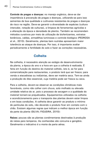 43 Plantas Condimentares: Cultivo e Utilização
Controle de pragas e doenças: no manejo orgânico, deve-se dar
importância à prevenção de pragas e doenças, utilizando-se para isso
sementes de boa qualidade e cultivares resistentes às pragas e doenças
de risco na região. Deve-se garantir a diversidade de espécies (cultura
intercalar, rotação de culturas), a limpeza de ferramentas agrícolas e
a alteração da época e densidade de plantio. Também se recomendam
métodos curativos por meio de utilização de biofertizantes, extratos
botânicos, caldas, armadilhas luminosas e controle biológico (PEDROSA
et al., 2010). Geralmente, plantas bem nutridas apresentam maior
tolerância ao ataque de doenças. Por isso, é importante avaliar
periodicamente a fertilidade do solo e fazer as correções necessárias.
Colheita
Na colheita, é necessário atenção ao estágio de desenvolvimento
da planta, a época do ano e a hora em que a colheita é realizada. É
feita em função do destino do material colhido, isto é, se for para
comercialização para restaurantes, o produto terá que ser fresco; para
venda a atacadistas ou indústrias, deve ser matéria seca. Tem-se ainda
a produção de óleo essencial, cuja matéria pode ser fresca ou seca.
Para a colheita, devem-se observar as condições climáticas mais
favoráveis, como não colher com chuva, solo molhado ou elevada
umidade relativa do ar, pois o processo de secagem e a qualidade do
material tornam-se prejudicados. Equipamentos utilizados na colheita
e acondicionamento para o transporte das plantas devem estar limpos
e em boas condições. A colheita deve garantir ao produto o mínimo
de partículas do solo, não devendo o produto ficar em contato com o
chão. Existem algumas regras que indicam a melhor época em função
da parte da planta (SILVA; FIGUEIRA, 2010):
Raízes: poucas são as plantas condimentares destinadas à produção
de raízes para temperos. As conhecidas são cúrcuma e gengibre.
Geralmente o indicativo é a morte da parte aérea.
 